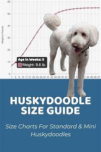 Huskydoodle Size Chart Interactive Weight Calculator Doodle Doods