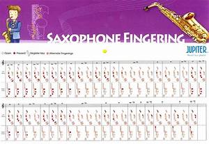 Tenor Saxophone Finger Chart For Beginners Jupiter Jas 769gl Alto
