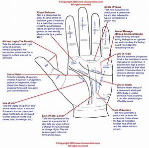 Astrology And Palmistry Portal Palmistry Hands Charts