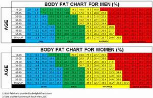 What 39 S The Best Way To Measure Body Composition Invictus Fitness