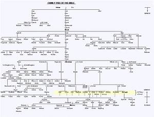 Adam And 39 S Family Tree Misc Pinterest Family Trees Bible