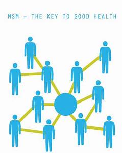 Msm The Key To Good Health Co Bo Health Chart Health Info Health