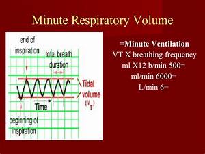 Lung Volumes And Capacities