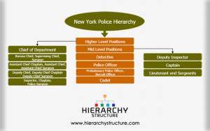 New York Police Hierarchy Hierarchy Structure