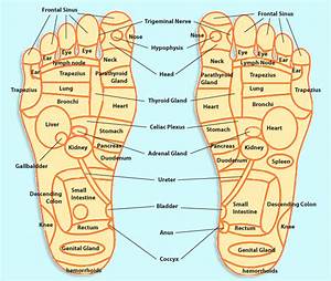Refelxology Trivia Foot Reflexology In Hawaii Oasis Spa