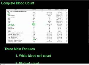 Complete Blood Count Chart
