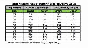 Mini Pig Nutrition American Mini Pig Association