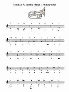 Marching French Horn Chart