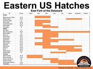 Hatch Charts Fly Fish Instruct