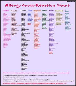 Allergy Chart Food Allergies Awareness Allergy Awareness Food Allergies