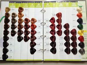 Professional Hair Color Conversion Chart Home Interior Design