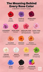 17 Rose Color Meanings To Help You Pick The Perfect Bloom Every Time 2022