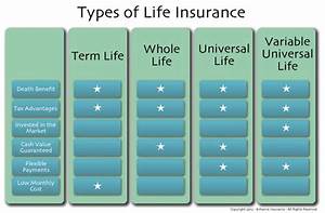 image result for graphic chart on life insurance term vs