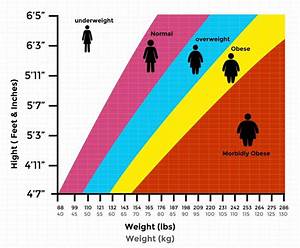 Best Bmi Chart Templates For Men Women Every Last Template Free