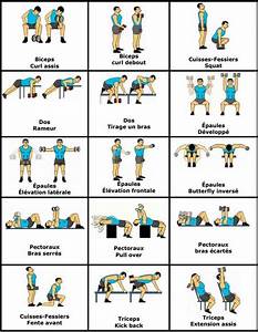 Gym Workout Chart Female Bodybuilders
