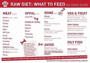 Quick Guide To Raw Feeding For Woofers Rawfeeding Rebels Raw