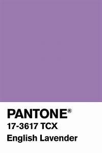 image result for pantone lavender