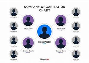 20 Company Chart Template Doctemplates