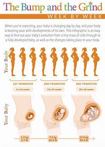 Week By Week Pregnancy Chart Natural Birth And Baby Care Com