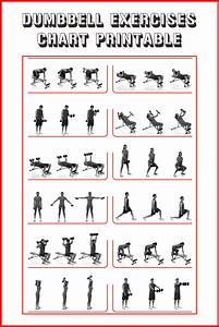 Dumbbell Workout Poster Fighthrough Fitness Eduaspirant Com