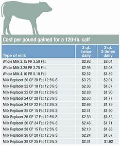 The True Cost Of Raising Milk Fed Calves