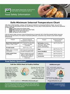 2024 Food Temperature Chart Template Fillable Printable Pdf Forms
