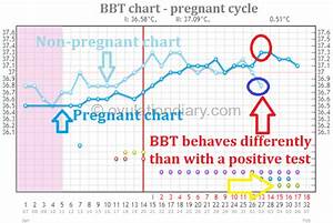 8 14th Dpo Determine Pregnancy Before Missed Period Ovulationdiary Com