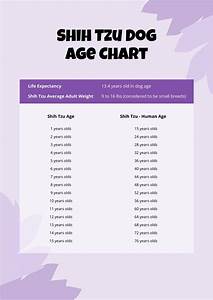Shih Tzu Dog Age Chart In Pdf Download Template Net