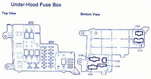 1991 Honda Accord Lx Fuse Box Diagram