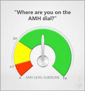 Where Are You On The Amh Anti Mullerian Hormone Dial Checkout This