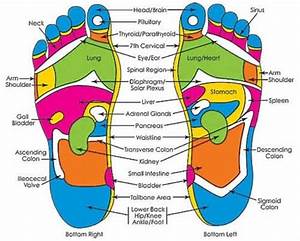 Foot Pressure Points Healing Hands Reflexology Foot Reflexology
