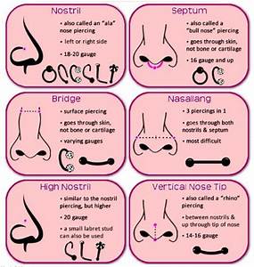 Here 39 S Your Ultimate Guide When It Comes To Piercing Charts