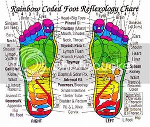 Foot Chart Photo By Nicklasart Photobucket