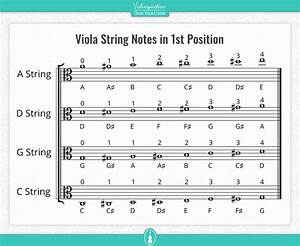 Viola String Notes And Charts Viola Basics Violinspiration