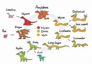Ever Wondered About Different Types Of Dragons R Coolguides