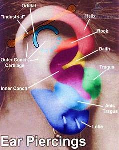 Women Ear Piercing Chart Piercing Time