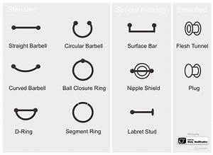 Types Of Piercings Musely