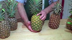 When Is It Ripe Pineapples Youtube