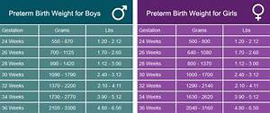 20 Fresh Baby Weight Chart During Pregnancy In Lbs