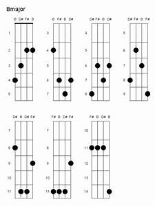 F Guitar Chord Finger Position
