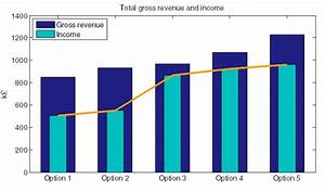 Example Of Comparison Over Gross Revenue And Net Income For Different