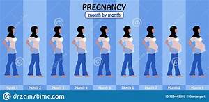 9 Months Of Pregnancy Stages Of Muslim Woman With Hijab Stock