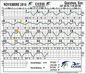 Guaymas Tide Chart San Carlos Tide Chart