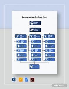 Vertical Organizational Chart 10 Examples Format Pdf Examples