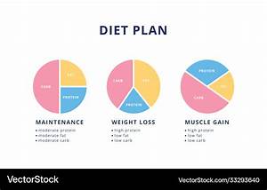 diet plan set for health and nutrition pie chart