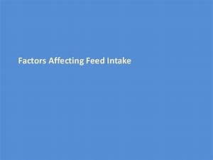 Factors Affecting Feed Consumption In Chicken