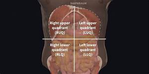 right upper quadrant diagram