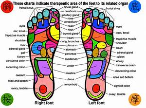 Print Your Own Foot Chart Herbalshop