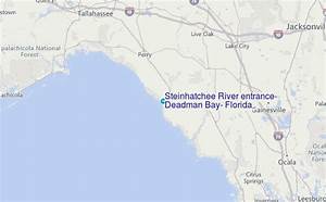 Steinhatchee River Entrance Deadman Bay Florida Tide Station Location