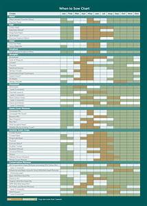 When To Sow Kingscrops